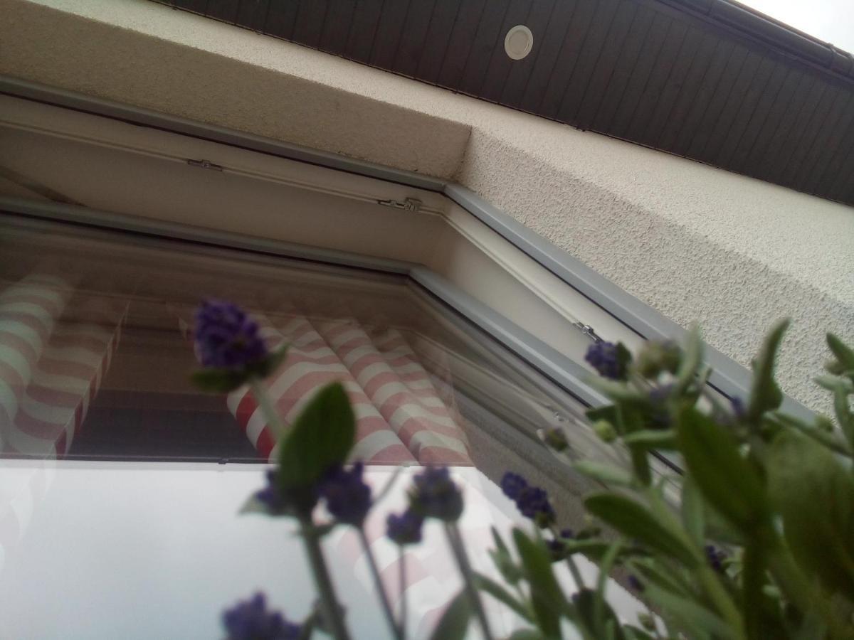 Domki Osada Kalinowa Leba Nowecin Sauna Łeba Exterior foto