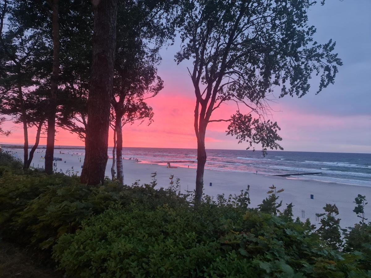 Domki Osada Kalinowa Leba Nowecin Sauna Łeba Exterior foto